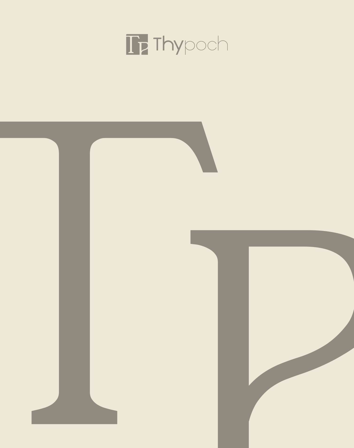 Thypochパンフレット