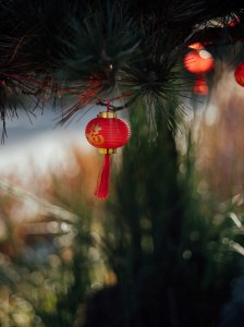 LIGHT LENS LAB M 75mm f/2 SPII