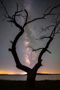 7Artisans 10mm F2.8 AF APS-C