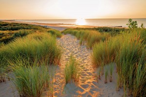 7Artsians AF 24mm F1.8