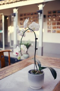 7Artisans 25mm F1.8 AF APS-C