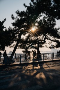 7Artisans 25mm F1.8 AF APS-C