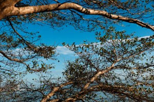 7Artisans 25mm F1.8 AF APS-C