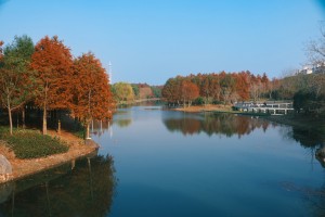 7Artisans 25mm F1.8 AF APS-C