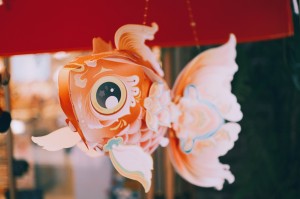 7Artisans 25mm F1.8 AF APS-C