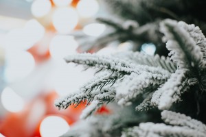 7Artisans 35mm F1.8 AF APS-C