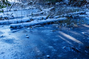 7Artisans 50mm F1.8 AF