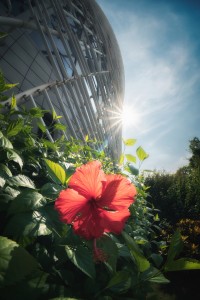 tt-11f28-news-sample8