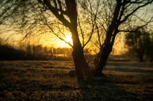 TTArtisan Dual Bokeh T2.1 35/50/85mm