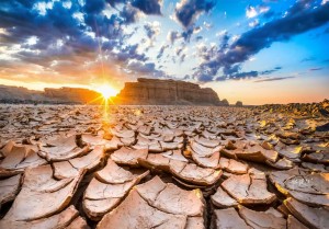 Tilt-Shift 17mm f/4 ASPH.